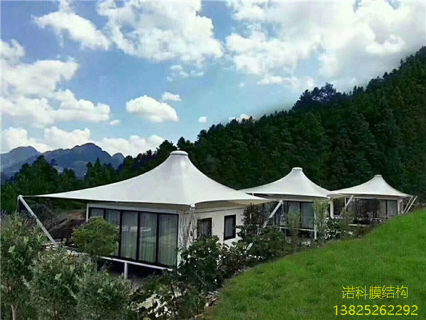 脊谷式膜面詳細介紹